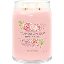 Yankee Candle Fresh Cut Roses Signature Büyük Mum