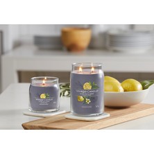 Yankee Candle Black Tea & Lemon Signature Büyük Mum