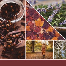 Yankee Candle Autumn Daydream Signature Büyük Mum