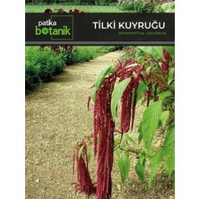 Patika Botanik 100 Adet Tilki Kuyruğu (Amaranthus Caudatus) Çiçek Tohumu