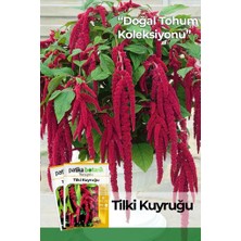 Patika Botanik 100 Adet Tilki Kuyruğu (Amaranthus Caudatus) Çiçek Tohumu