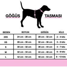 Lusi Doog Kişiye Özel Köpek Tasma Seti Isimli Köpek Göğüs Tasması Köpek Boyun Tasması Köpek Gezdirme Kayışı