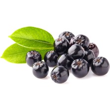 Aronya Meyve Organik Sertifikalı Taze  1 Kg. BalkanBerries