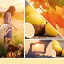 Yankee Candle Autumn Sunset Signature Büyük Mum