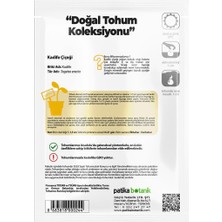 Patika Botanik 50 Adet Bodur Kadife Çiçek Tohumu (Tagetes L.)