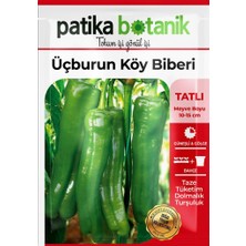 Patika Botanik 200 Adet Üç Burun Köy Biber Tohumu (Tatlı, Mazamort)