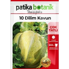 Patika Botanik 150 Adet 10 Dilim Çorum Kavun Tohumu