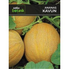 Patika Botanik 80 Adet Yerli Ata Ananas Kavun Tohumu