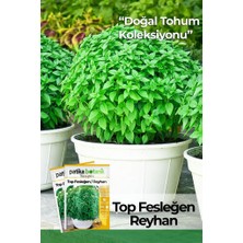 Patika Botanik 80 Adet Yerli Ata Top Fesleğen - Top Reyhan (Ocimum Basilicum) Tohumu