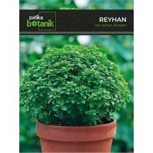 Patika Botanik 80 Adet Yerli Ata Top Fesleğen - Top Reyhan (Ocimum Basilicum) Tohumu