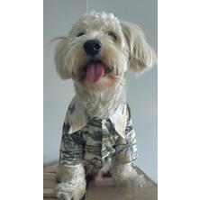 Eveo Hawaii Gömlek Lüks Yazlık Yakışıklı Tatil Gömleği Köpek Kıyafeti (Beden Tablosu Mevcuttur.)