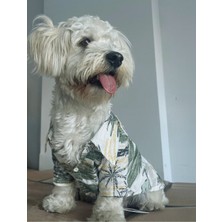 Eveo Hawaii Gömlek Lüks Yazlık Yakışıklı Tatil Gömleği Köpek Kıyafeti (Beden Tablosu Mevcuttur.)