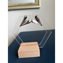 Asteria Jewelry Kalp Çelik Küpe