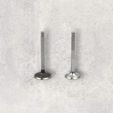 038198601EE Subap Takımı 7 Mm 4 Cyl - Passat-Transporter T5-Caddy-1.4 Lt.-1.9 Lt.-2.5 Lt.-Avf-Amf-Axb-Axc-Axd-Bjb