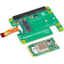 Raspberry Pi Aı Kiti (M.2 Hat Plus HAILO8L Aı Hızlandırıcı)