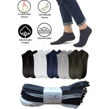 Premium Natural Socks 10 Çift Pamuklu 5 Renk  Erkek Patik Çorap (Burun Dikişsiz) (Yıkamalı)