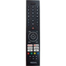 Kumanda 1259-REGAL 49R7540 Android
