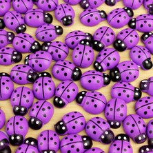 Vizyon 50 Adet Parti Uğur Böceği Ahşap Sticker, 1,9cm x 1,4cm