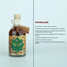 Osmanlı Sirkeleri No : 275 Hummâ-Yı Muhrika Sirkesi 500 ml