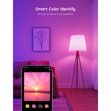 Govee Wifi + Bluetooth 800 Lümen Uygulama Kontrollü Akıllı Ayarlanabilir Modlu LED Ampul