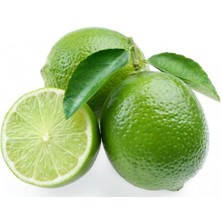 EVİM BAHÇEM Lime Limon Yeşil Limon Fidanı (Meyveli) Içi Dışı Yeşil Meyveli Fidan