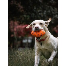 M-Pets Bloom Ball Oyun Topu Parçalanmaz Orange/blue