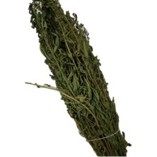 Lokman Aktar Yapışkan Andız Otu 50 gr