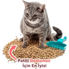 MissCatt  Çam Pelet Kedi Kumu 20 lt/10 kg, Doğal, Kokusuz, Çam Peleti