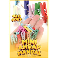 Rkm Store Renkli Mandal 100 Lü Paket Mini Ahşap Mandal Fotoğraf Mandalı 2,5 cm