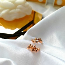 Kilig Jewelry Kadın Vip Çelik Gold Dalga Taş Detay Küpe 15MM