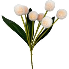 Nettenevime Yapay Çiçek Şampanya Rengi Pompon Çiçeği Dekoratif Yapay Çiçek 7 Toplu 30x20cm