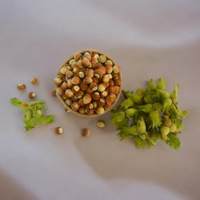 Zeynel Bey Dalından Taze Tombul Fındık 3 kg