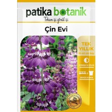 Patika Botanik 100 Adet Mor-Beyaz Çin Evi Çiçek Tohumu (Collinsia Heterophylla)