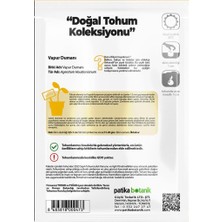 Patika Botanik 100 Adet Vapur Dumanı (Ageratum Houstanianum) Çiçek Tohumu