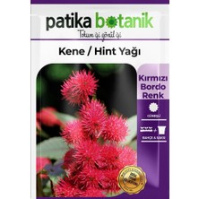 Patika Botanik 5 Adet Kene Çiçeği (Ricinus Communis) Çiçek Tohumu