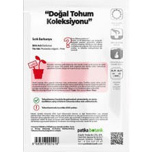 Patika Botanik 50 Adet Sırık Barbunya Tohumu (Selim)