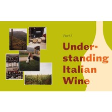 Italian Wine The History, Regions, And Grapes Of An Iconic Wine Country - Shelley Lindgren