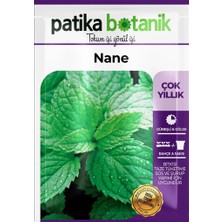 Patika Botanik 75 Adet Ata Tohumu Yerli Nane (Mentha)