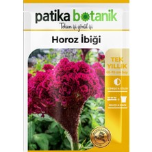 Patika Botanik Horozibiği (Celosia) Çiçek Tohumu 100 Adet