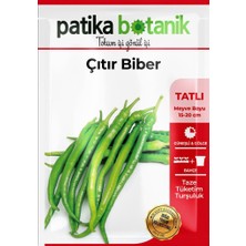 Patika Botanik 150 Adet Yerli Ata Çıtır Biber Tohumu (Sivri, Tatlı)