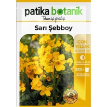 Patika Botanik 100 Adet Şebboy Sarı (Cheiranthus Cheiri) Çiçek Tohumu 100 Adet