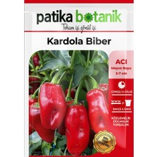 Patika Botanik 150 Adet Yerli Ata Kardola Biber Tohumu (Mini Kapya)