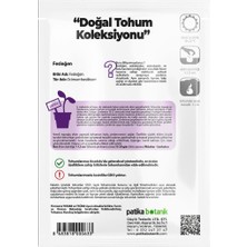 Patika Botanik 80 Adet Yerli Ata Yeşil Fesleğen - Yeşil Reyhan (Ocimum Basilicum) Tohumu