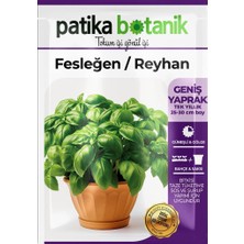 Patika Botanik 250 Adet Geniş Yapraklı Yeşil Fesleğen / Reyhan Tohumu