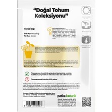 Patika Botanik Horozibiği (Celosia) Çiçek Tohumu 100 Adet