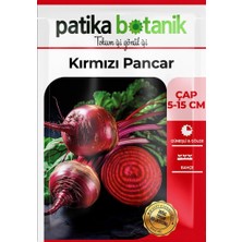 Patika Botanik 100 Adet Kırmızı Pancar Tohumu