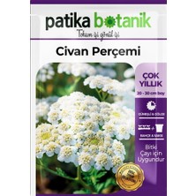 Patika Botanik 100 Adet Civanperçemi Çiçek Tohumu