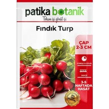 Patika Botanik 500 Adet Fındık Turp Tohumu