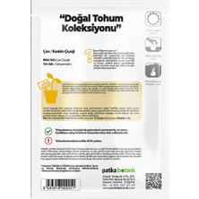 Patika Botanik 100 Adet Çan Kadeh (Campanula L.) Çiçek Tohumu