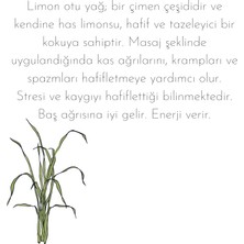 Soulame Beauty Doğal Saf Esansiyel Aromatik Yağ Bitki Serisi - 6 Adet